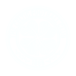 Celtic Logo